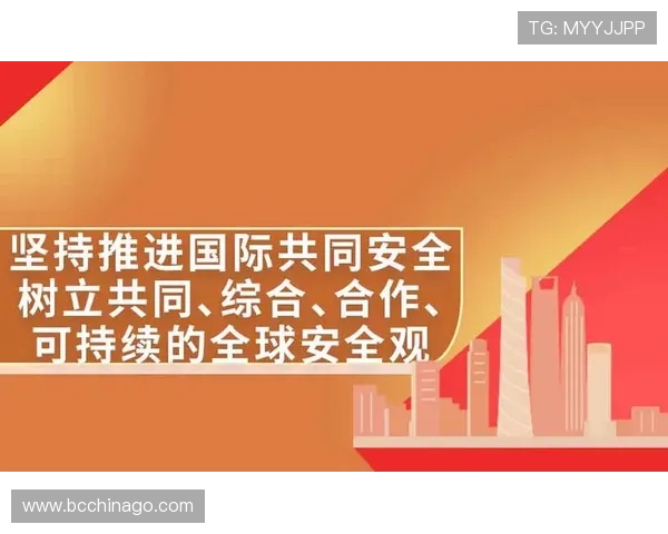 走进盛世国际入口，揭秘全球合作的无限可能与机遇